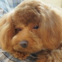 Kirby.2011.07.18-005.JPG
