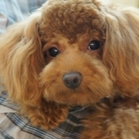 Kirby.2011.07.18-006.JPG