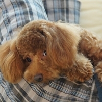 Kirby.2011.07.18-007.JPG