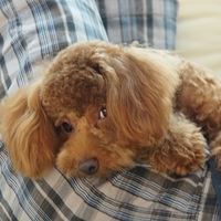 Kirby.2011.07.18-008.JPG