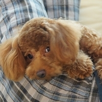 Kirby.2011.07.18-009.JPG