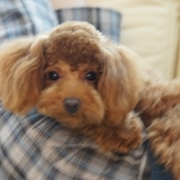 Kirby.2011.07.18-010.JPG