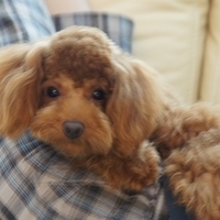 Kirby.2011.07.18-011.JPG