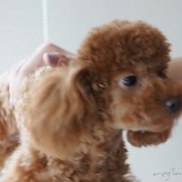 Kirby.2011.07.18-012.JPG