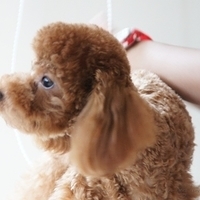 Kirby.2011.07.18-013.JPG