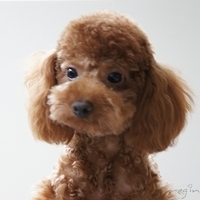 Kirby.2011.07.18-014.JPG