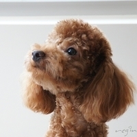 Kirby.2011.07.18-015.JPG
