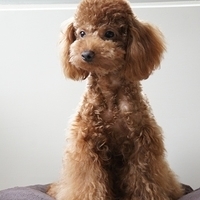 Kirby.2011.07.18-018.JPG