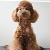 Kirby.2011.07.18-019.JPG