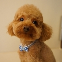 July 2012