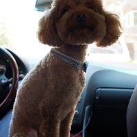 Kirby.2012.07.12-001.JPG