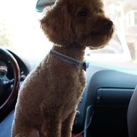 Kirby.2012.07.12-002.JPG
