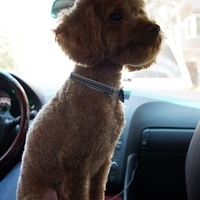 Kirby.2012.07.12-003.JPG
