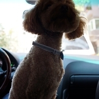 Kirby.2012.07.12-004.JPG