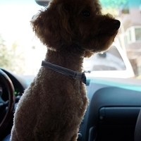 Kirby.2012.07.12-005.JPG