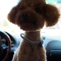 Kirby.2012.07.12-006.JPG