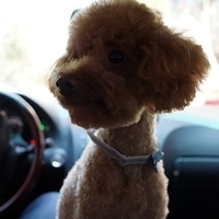 Kirby.2012.07.12-007.JPG