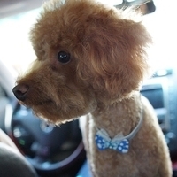 Kirby.2012.07.12-008.JPG