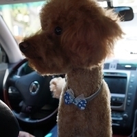 Kirby.2012.07.12-009.JPG