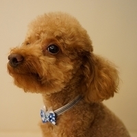 Kirby.2012.07.12-010.JPG