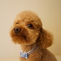 Kirby.2012.07.12-011.JPG