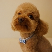 Kirby.2012.07.12-012.JPG