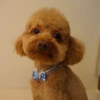 Kirby.2012.07.12-013.JPG