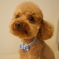 Kirby.2012.07.12-014.JPG