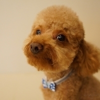 Kirby.2012.07.12-016.JPG