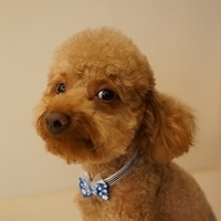 Kirby.2012.07.12-017.JPG
