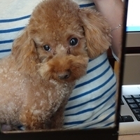 Kirby.2012.07.26-001.JPG