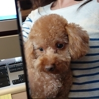 Kirby.2012.07.26-002.JPG