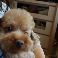 Kirby.2012.07.26-003.JPG