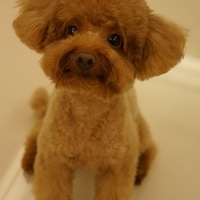Kirby.2013.07.06-001.JPG