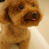 Kirby.2013.07.06-002.JPG