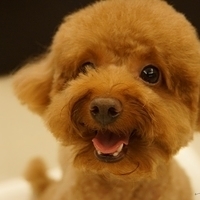 Kirby.2013.07.06-003.JPG
