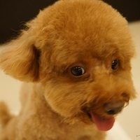 Kirby.2013.07.06-004.JPG