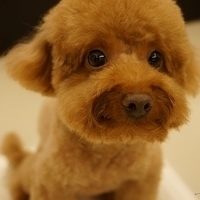Kirby.2013.07.06-005.JPG
