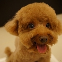 Kirby.2013.07.06-006.JPG