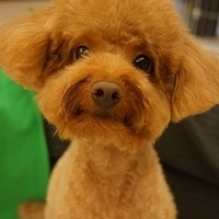 Kirby.2013.07.06-007.JPG