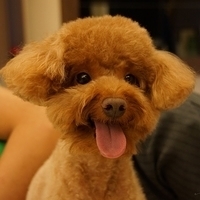 Kirby.2013.07.06-008.JPG