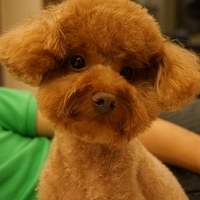 Kirby.2013.07.06-009.JPG