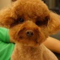 Kirby.2013.07.06-010.JPG