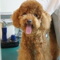 Kirby.2011.06.15-001.JPG