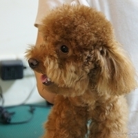 Kirby.2011.06.15-002.JPG