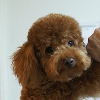 Kirby.2011.06.15-003.JPG