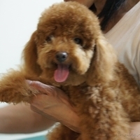 Kirby.2011.06.15-004.JPG