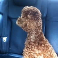 Kirby.2011.06.15-005.JPG