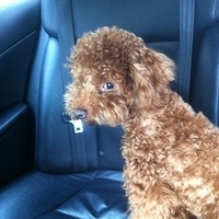 Kirby.2011.06.15-006.JPG