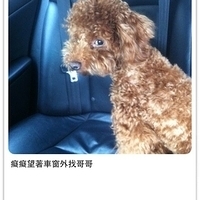 Kirby.2011.06.15-007.JPG